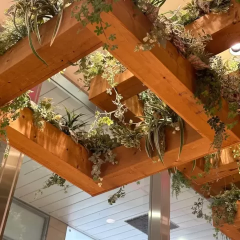 植栽カバー（天王寺MIO)サムネイル